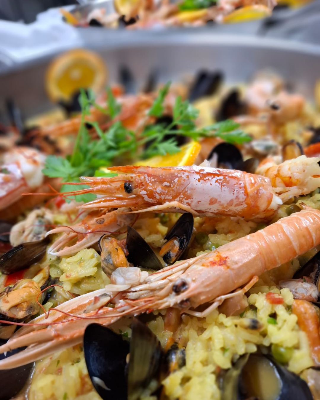 Ingredienti freschi della paella
